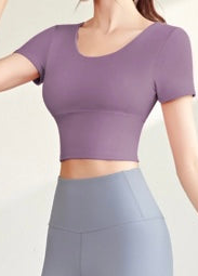 Purple & Gray Crop Top