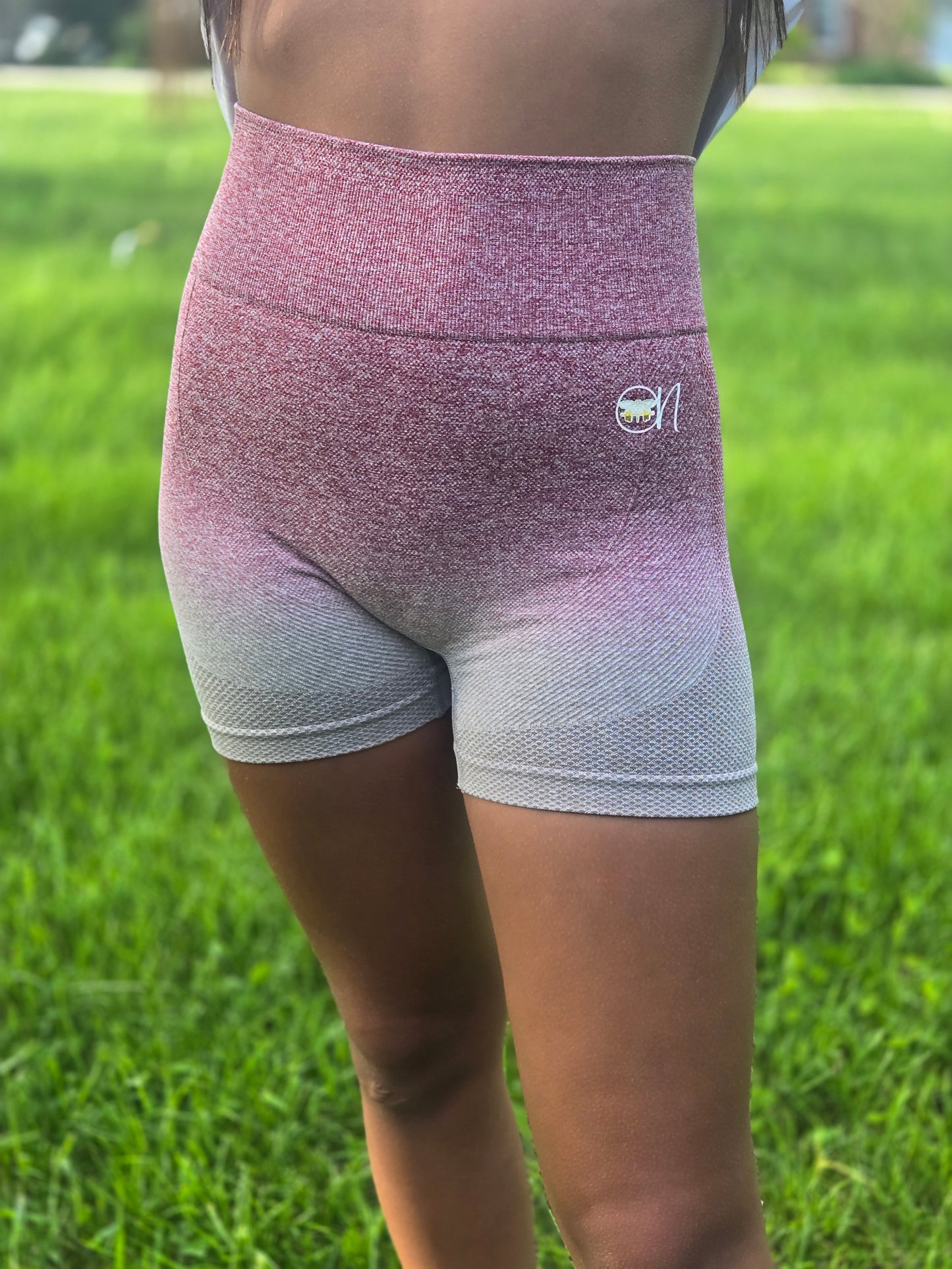 Scrunch Butt Ombre Pink and Brown Shorts